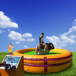 Şişme Rodeo