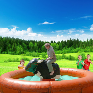 Şişme Rodeo