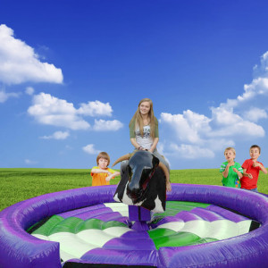 Şişme Rodeo