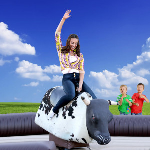 Şişme Rodeo