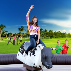 Şişme Rodeo