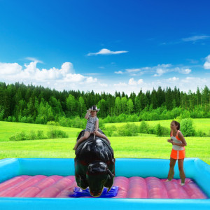 Şişme Rodeo