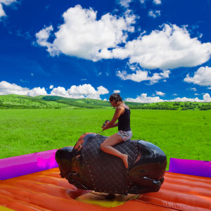 Şişme Rodeo