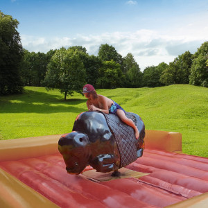 Şişme Rodeo
