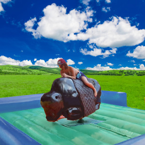 Şişme Rodeo