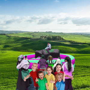 Şişme Rodeo