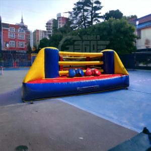 sisme-boks 01